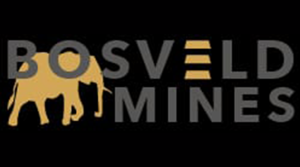 Security Operations and Tactics _ Bosveld Mines