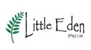 Security Operations and Tactics _ Little Eden